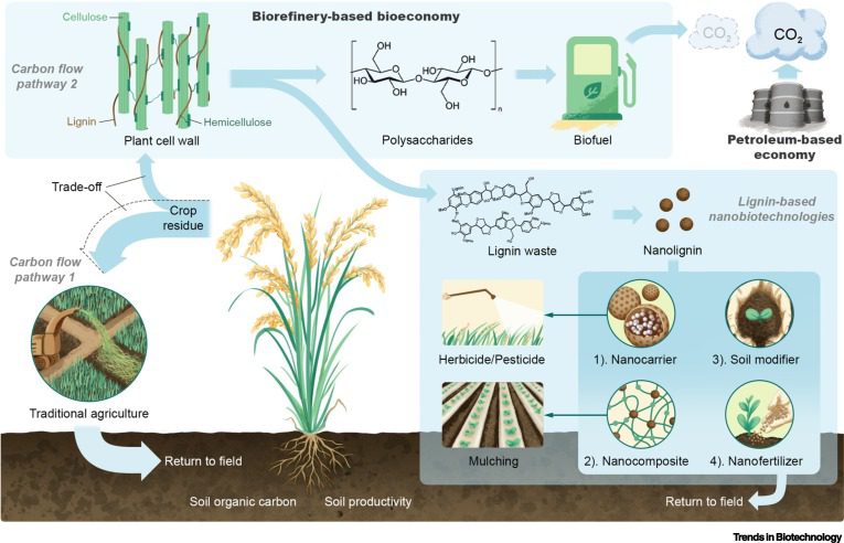 Revolutionizing Erosion Control: Discover the Powerful Soil Erosion ...